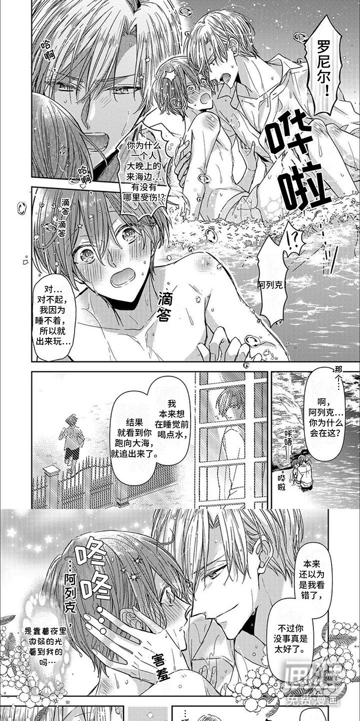 第22章：庆典