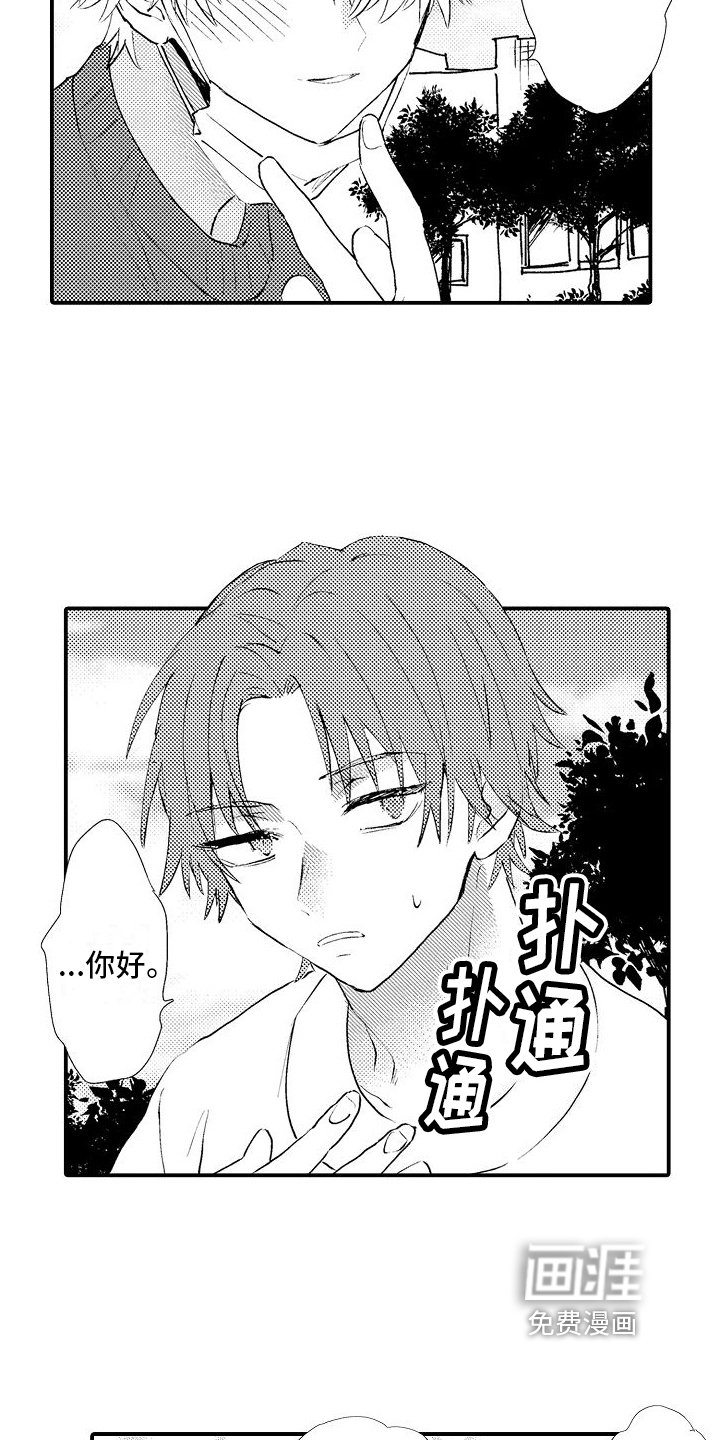 第13章：在意