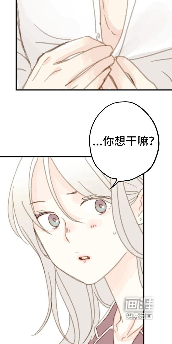第15章：用在你身上