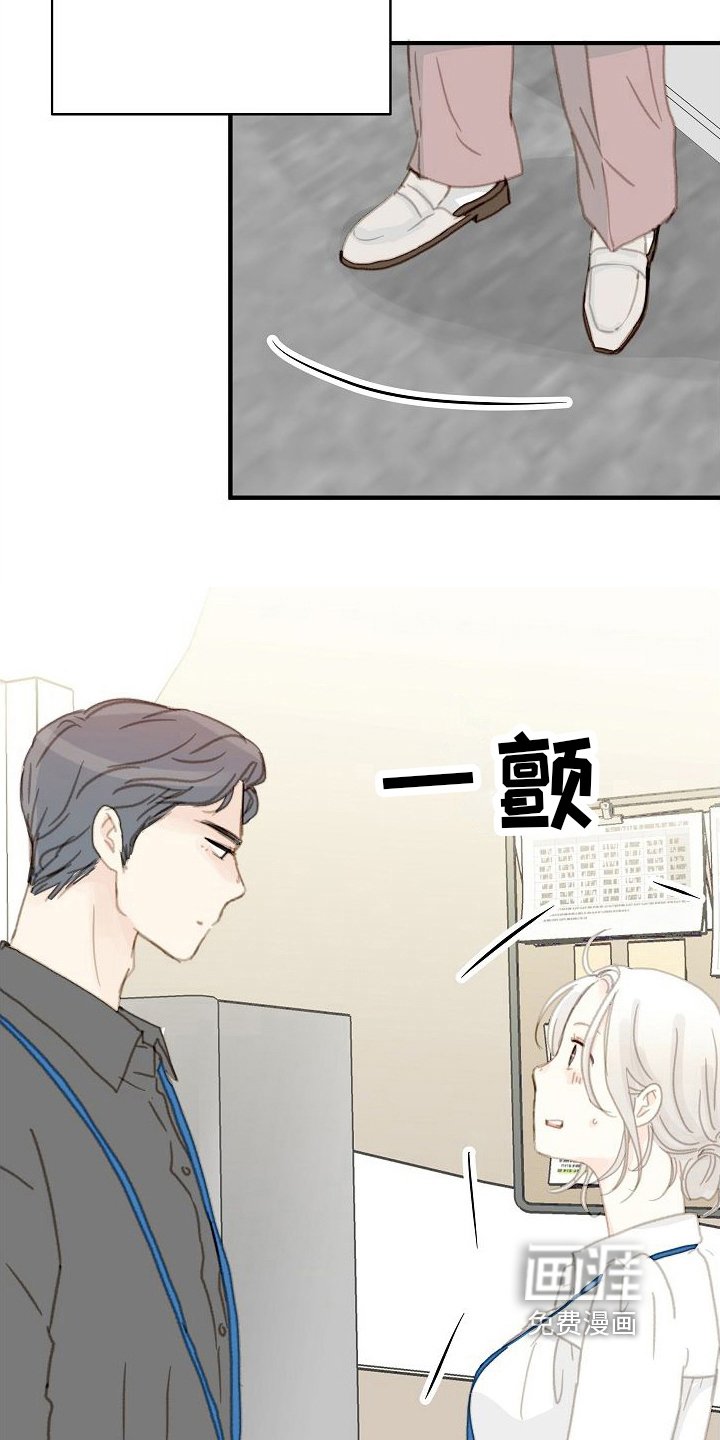 第18章：忽略