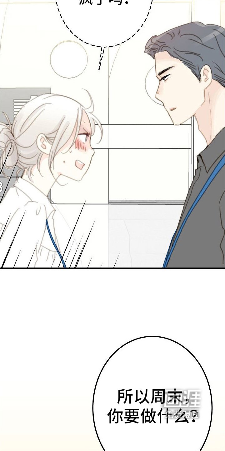 第19章：周末见
