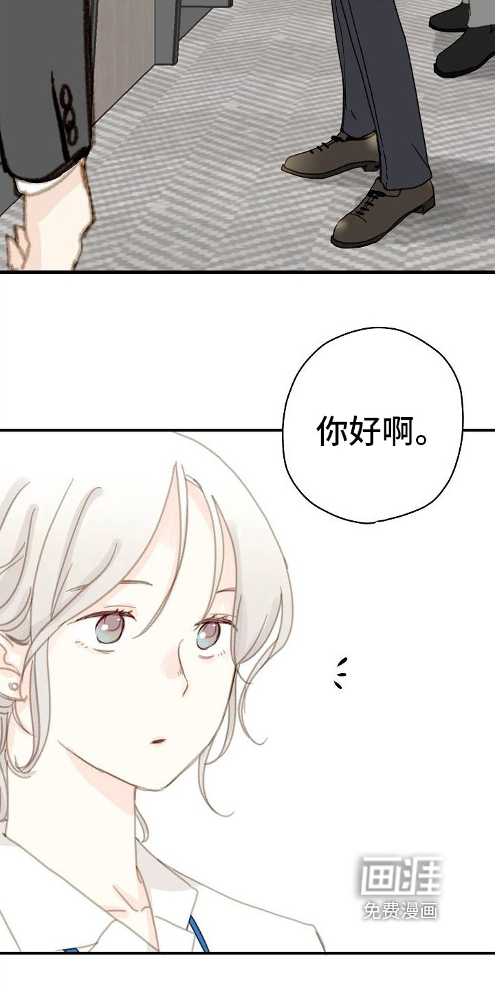 第5章：又碰面