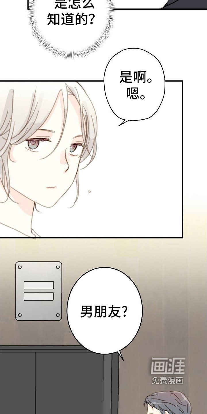 第5章：又碰面