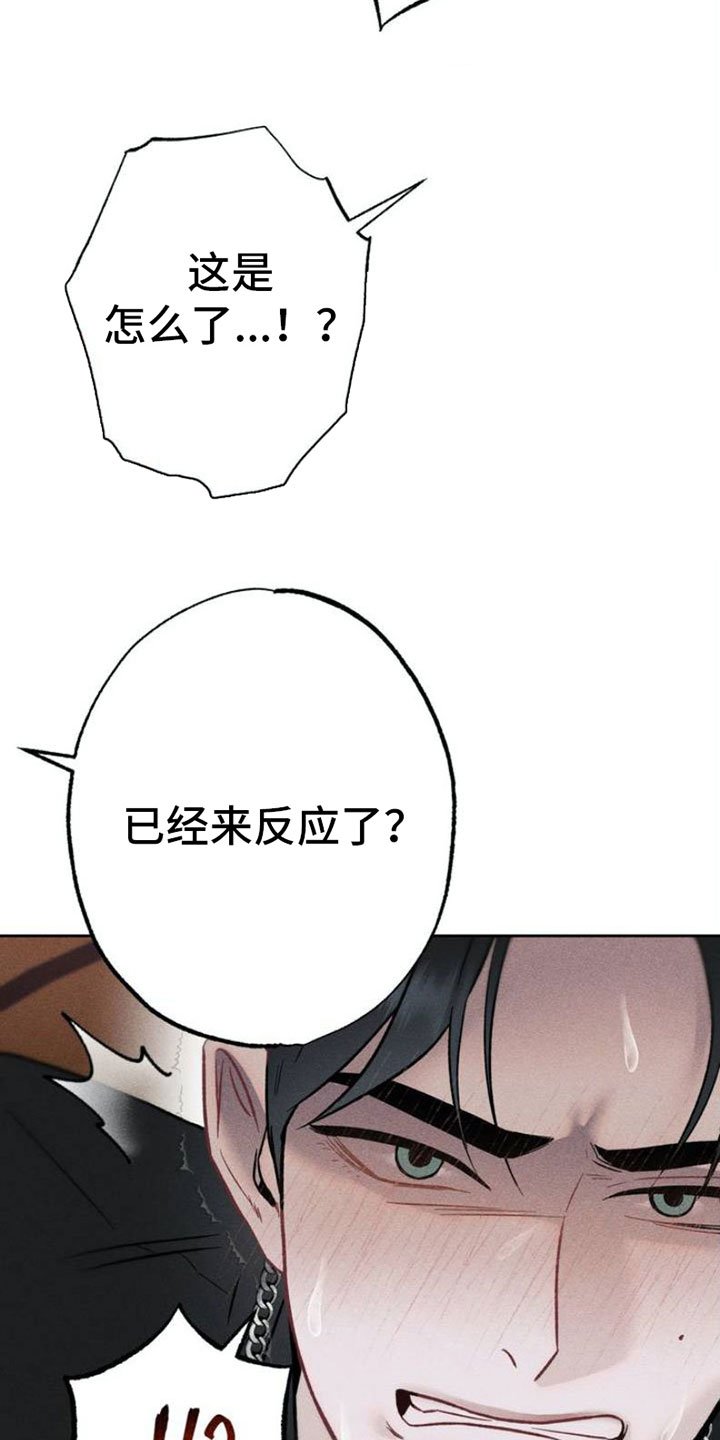 第2章：项链：报复