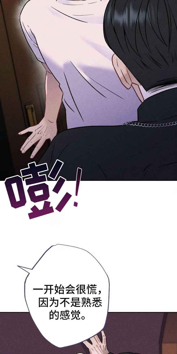 第2章：项链：报复
