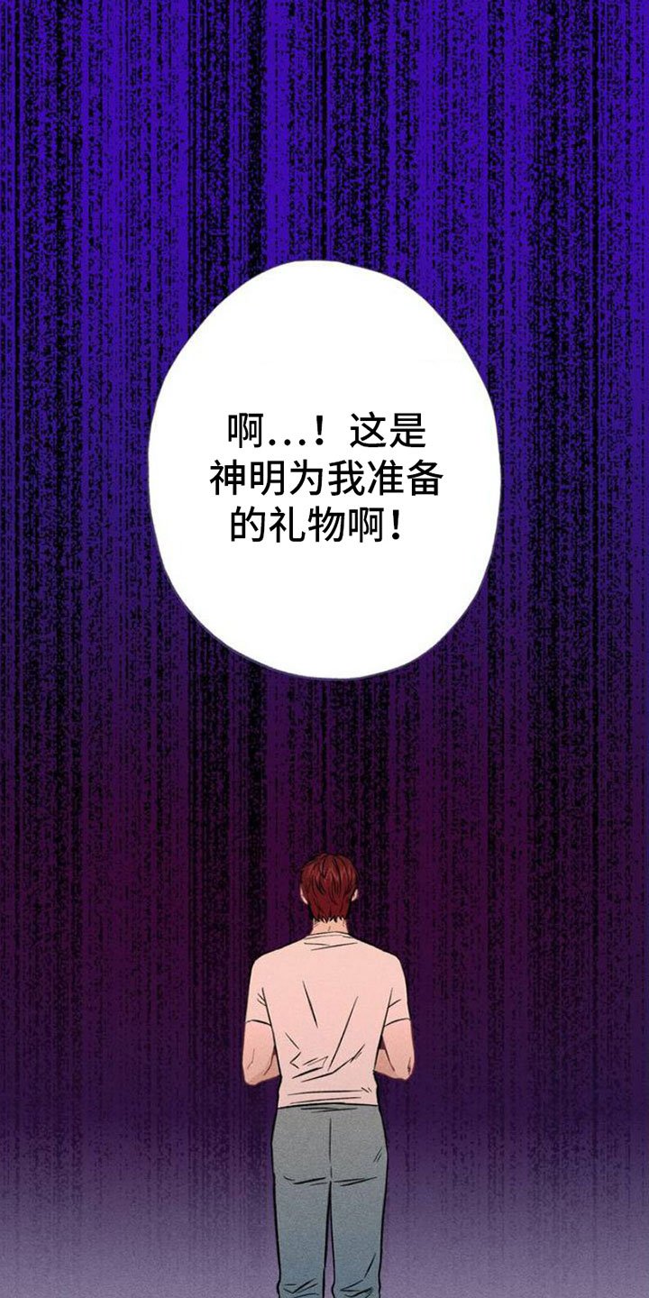 第2章：项链：报复