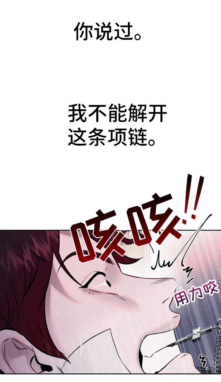 第6章：项链：反击
