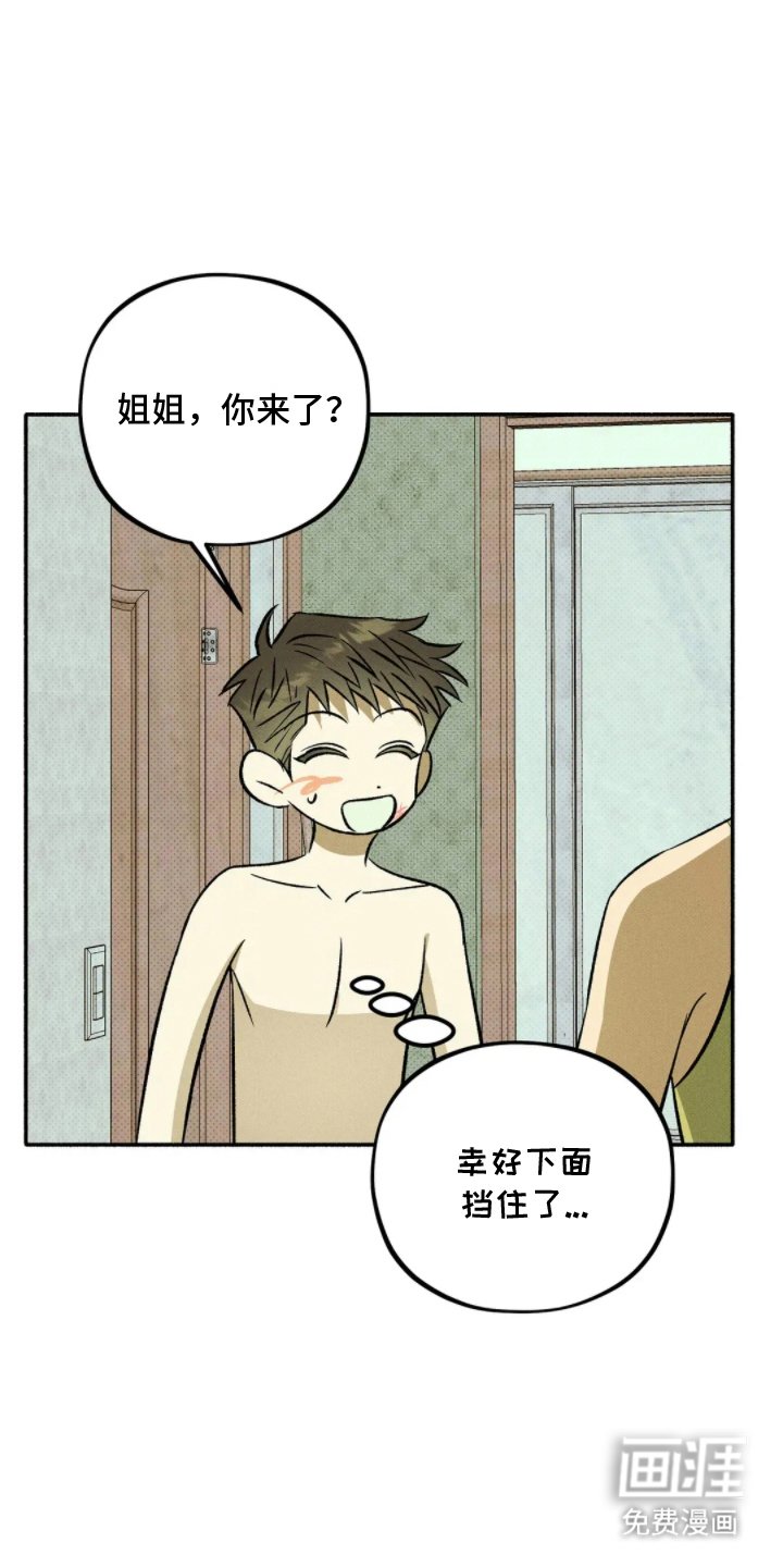 第12章：打量