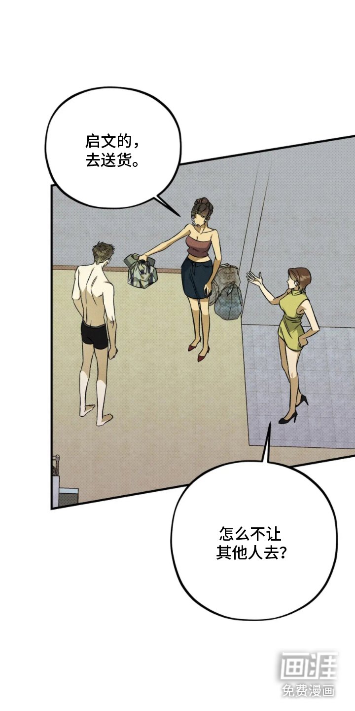 第12章：打量