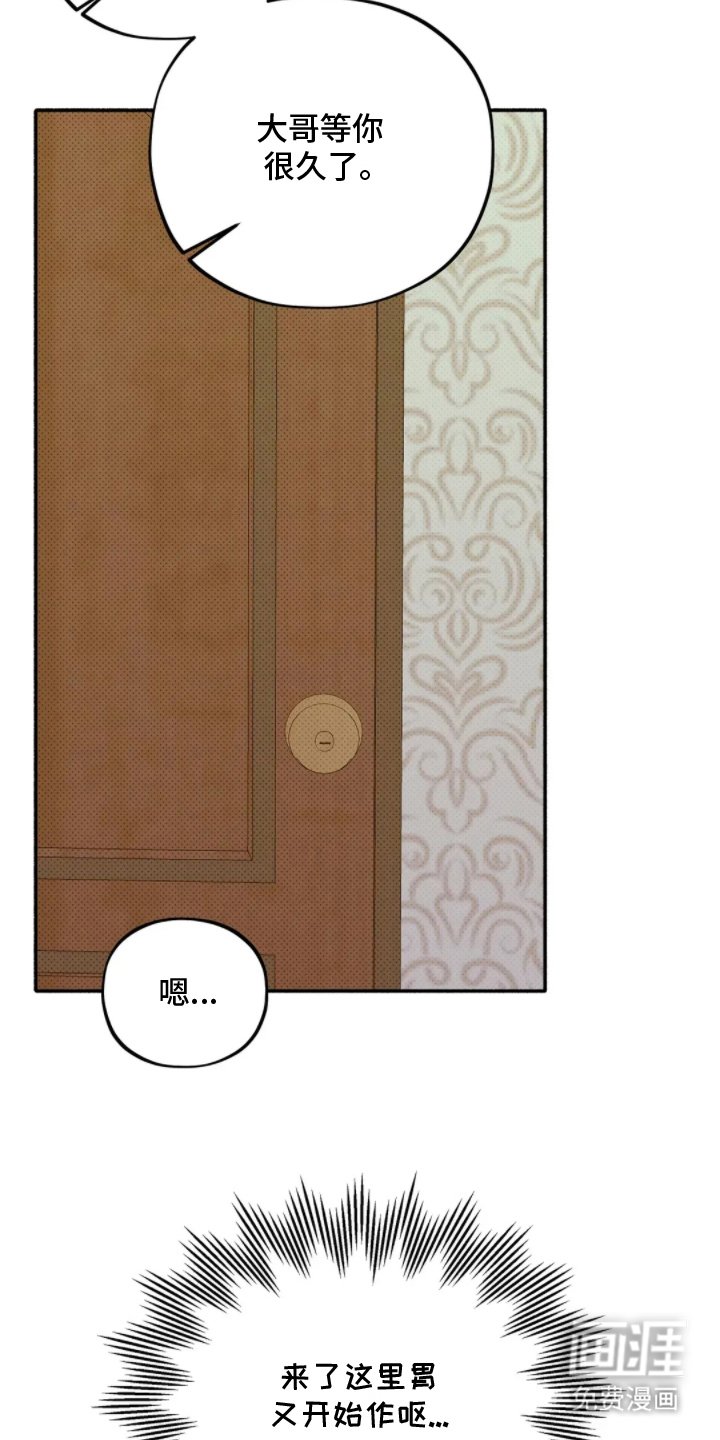 第12章：打量