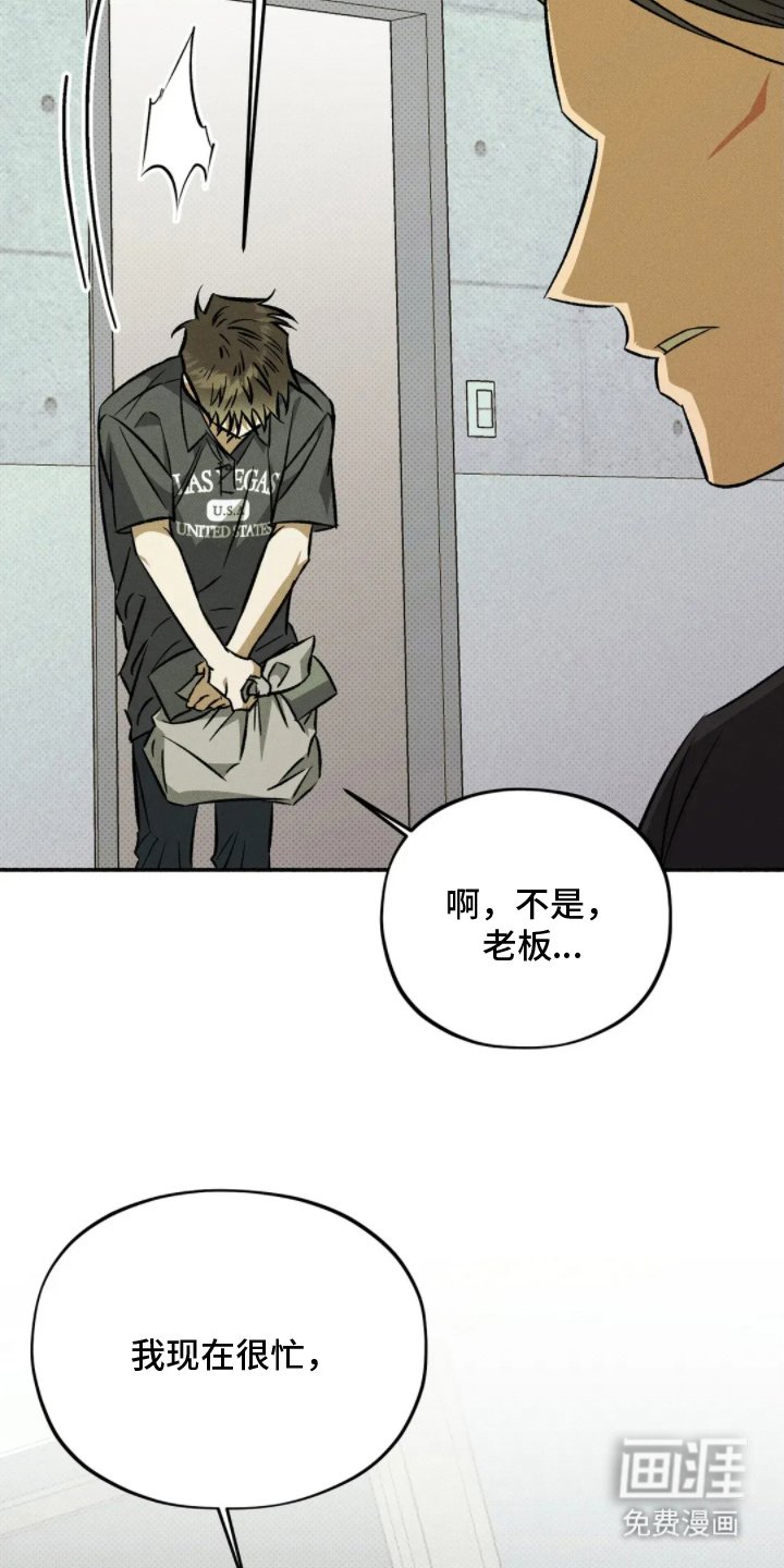 第12章：打量