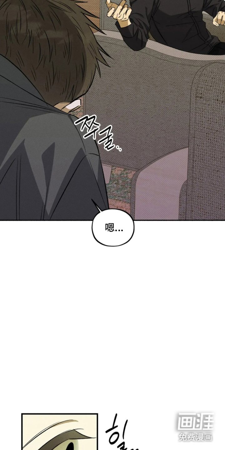 第12章：打量