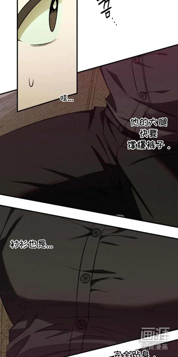 第12章：打量