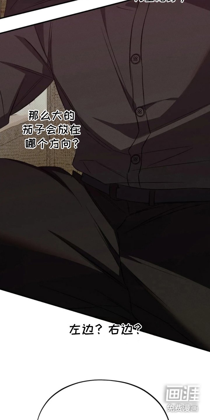第12章：打量