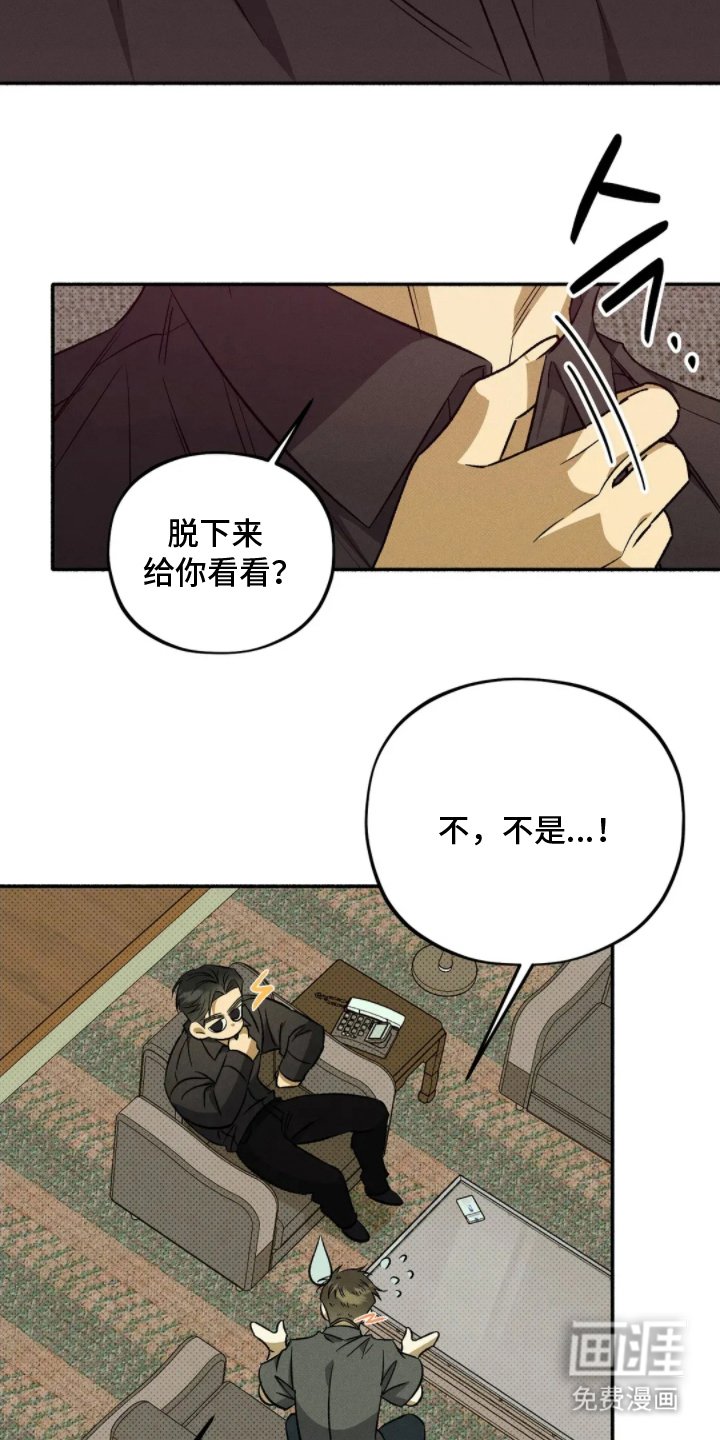 第12章：打量