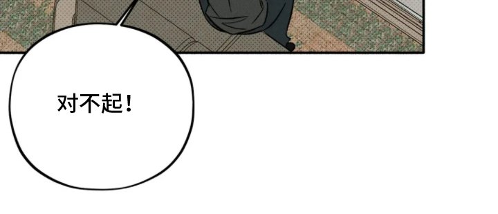 第12章：打量