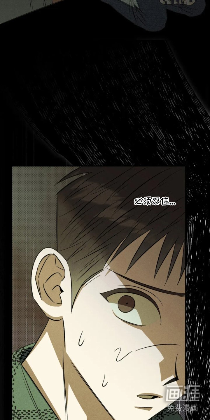 第6章：别看