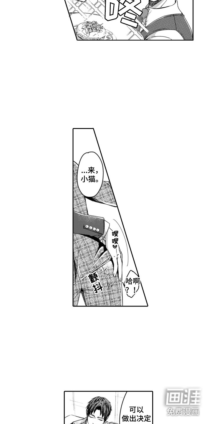 第16章：公平评判 