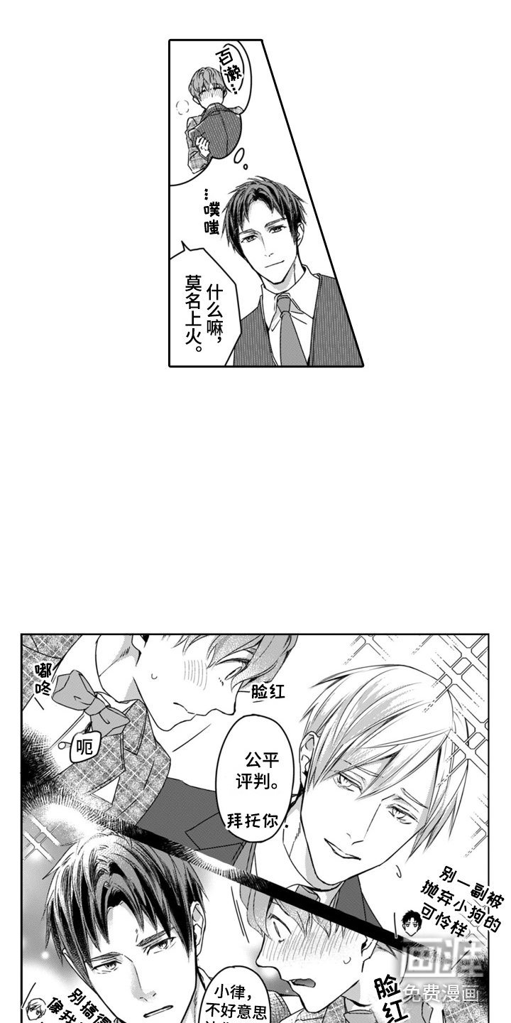 第16章：公平评判 