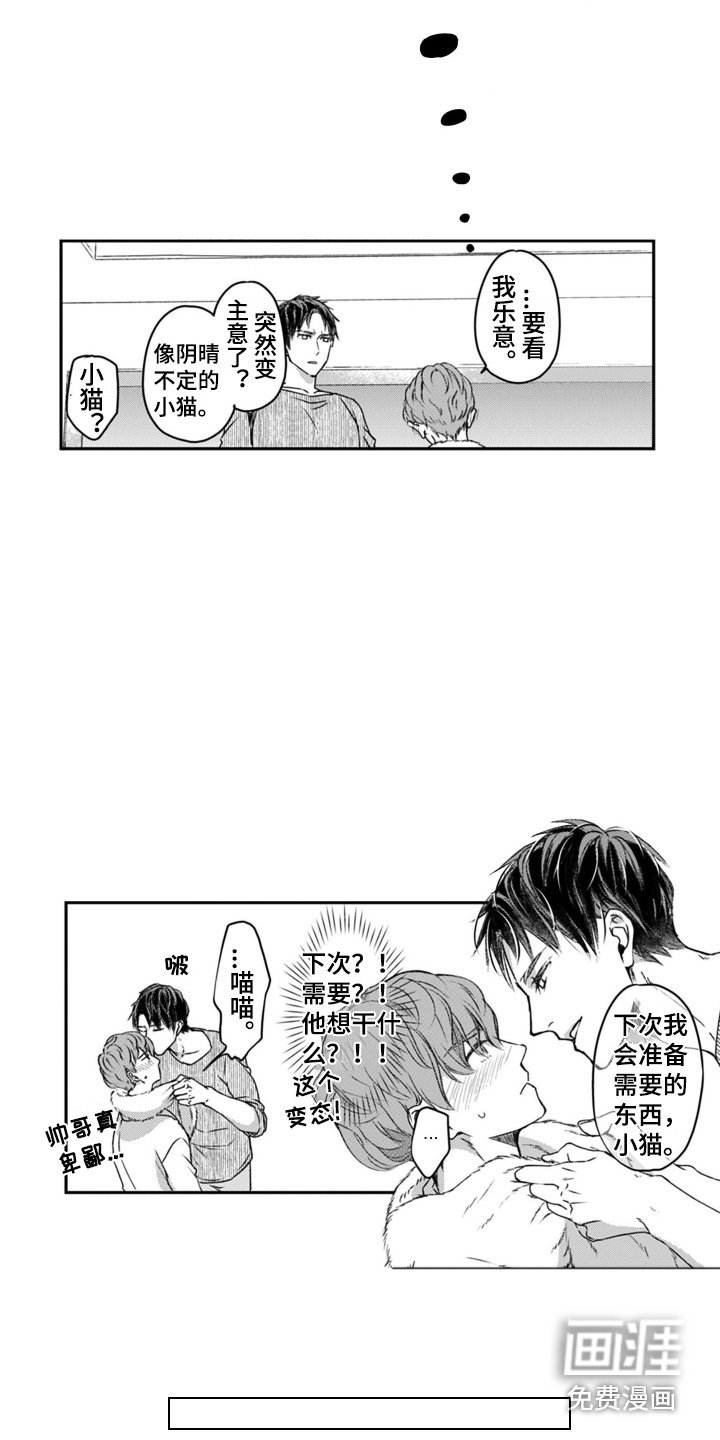 第4章：小猫咪