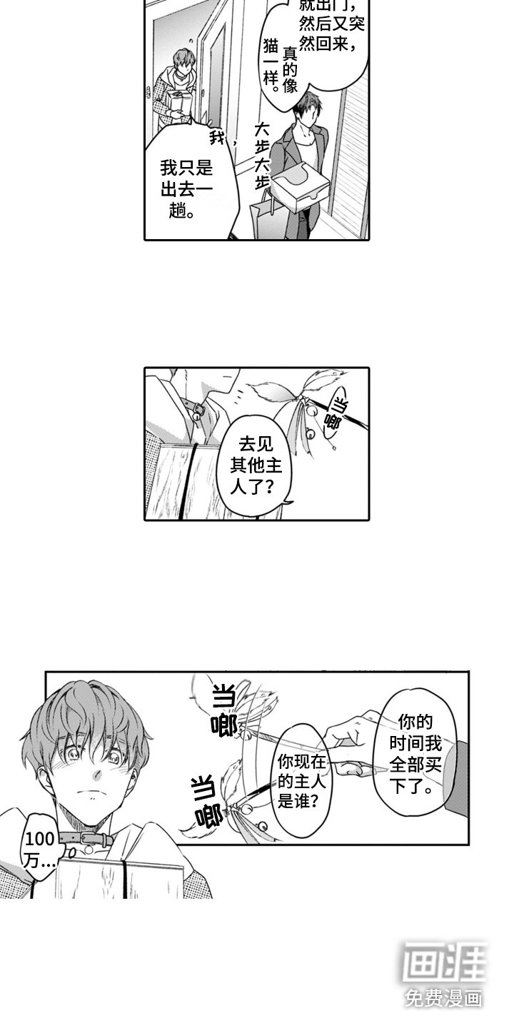 第4章：小猫咪