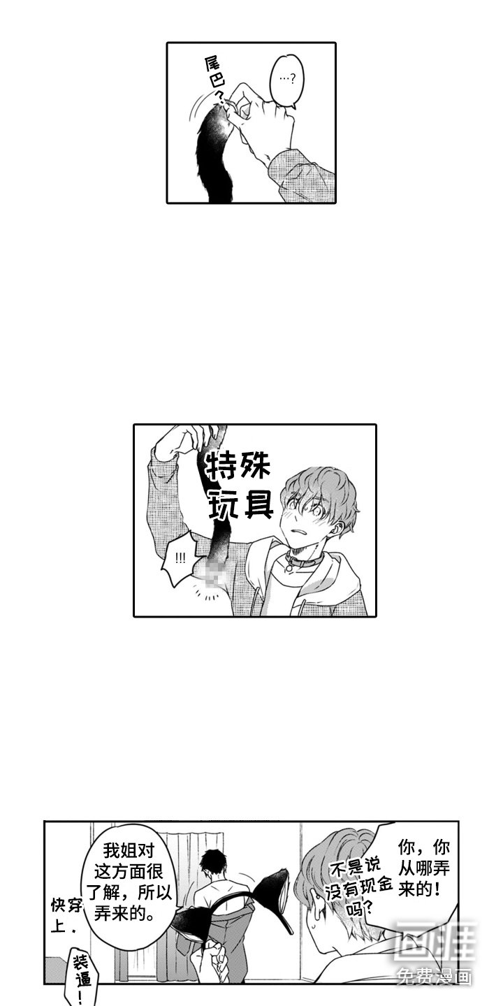 第4章：小猫咪