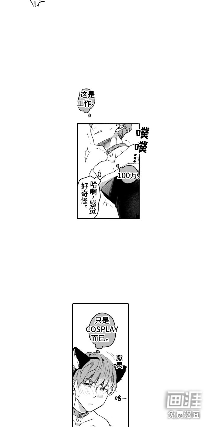 第4章：小猫咪