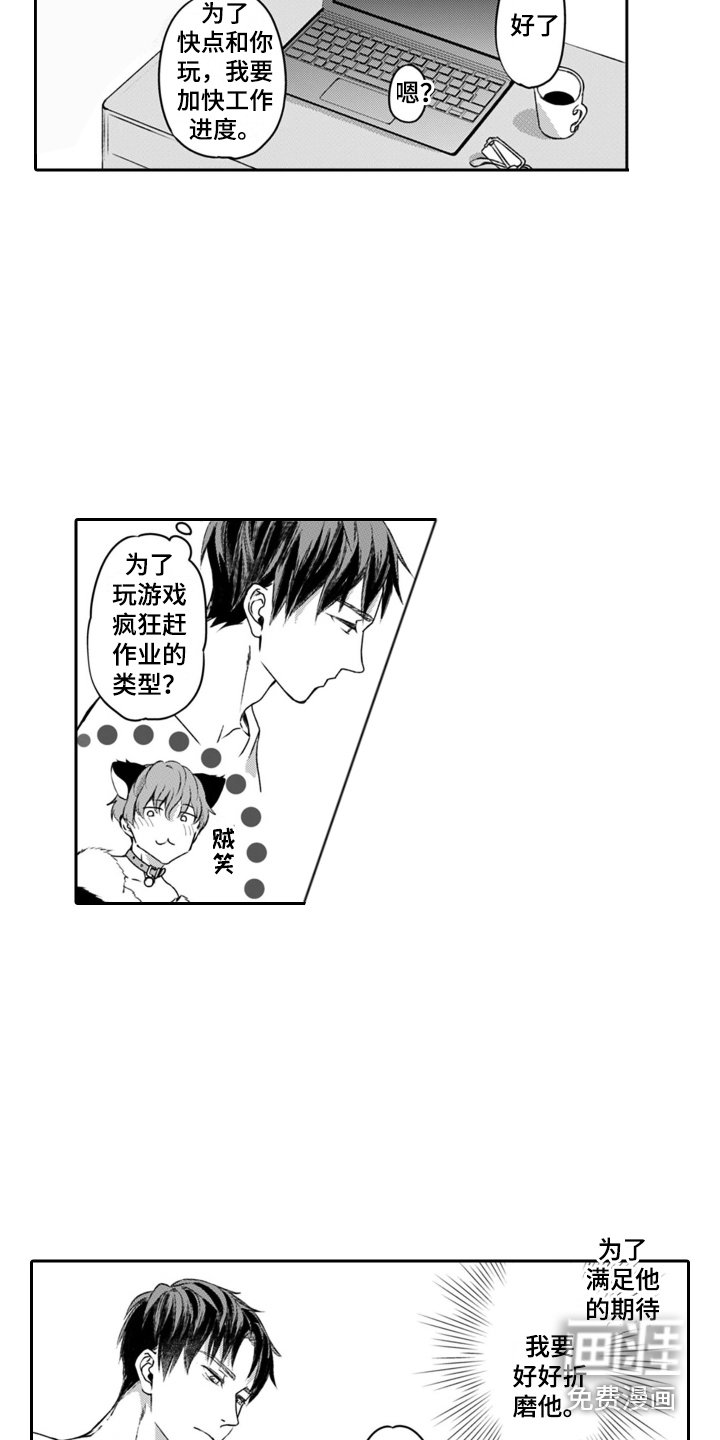 第4章：小猫咪