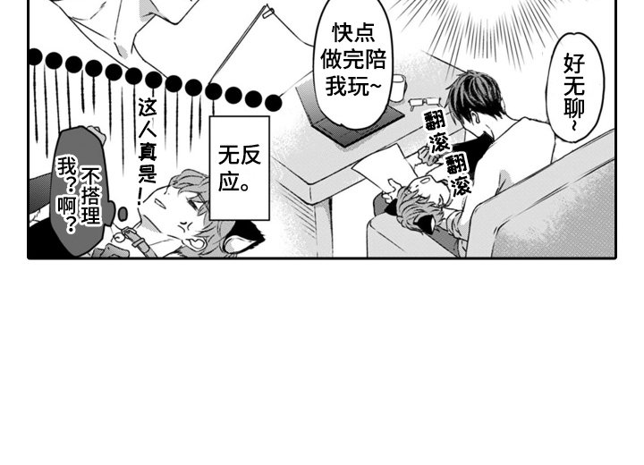 第4章：小猫咪