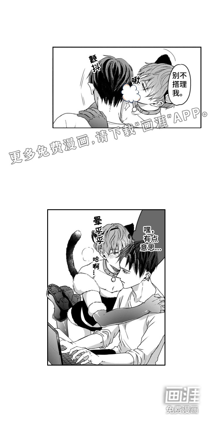 第5章：调皮 