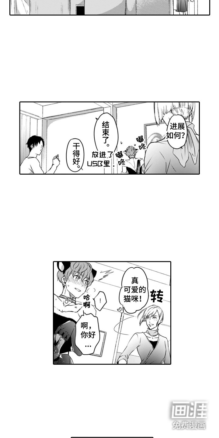 第5章：调皮 