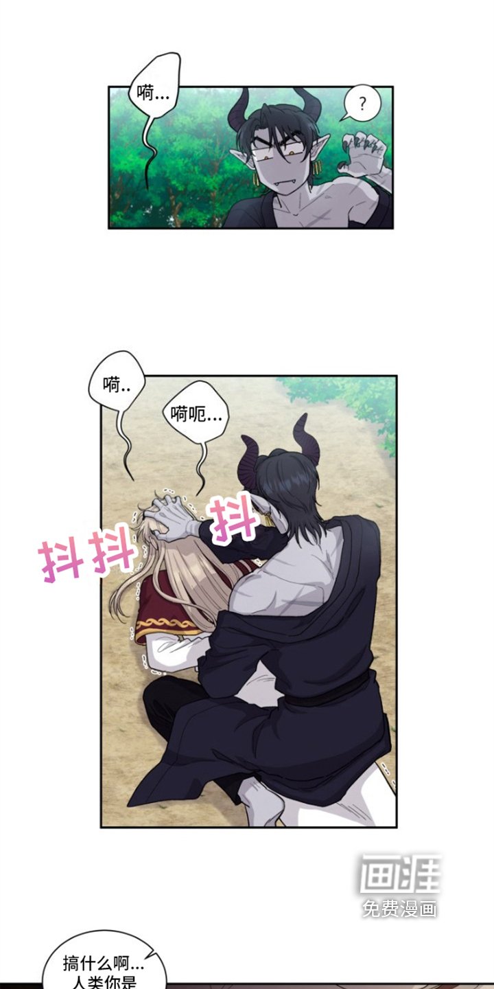 第4章：神官的经历