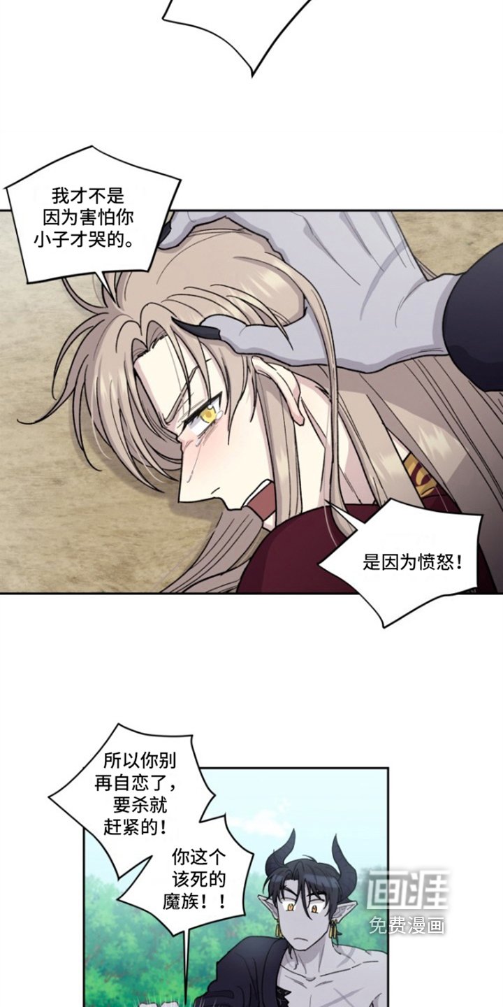 第4章：神官的经历