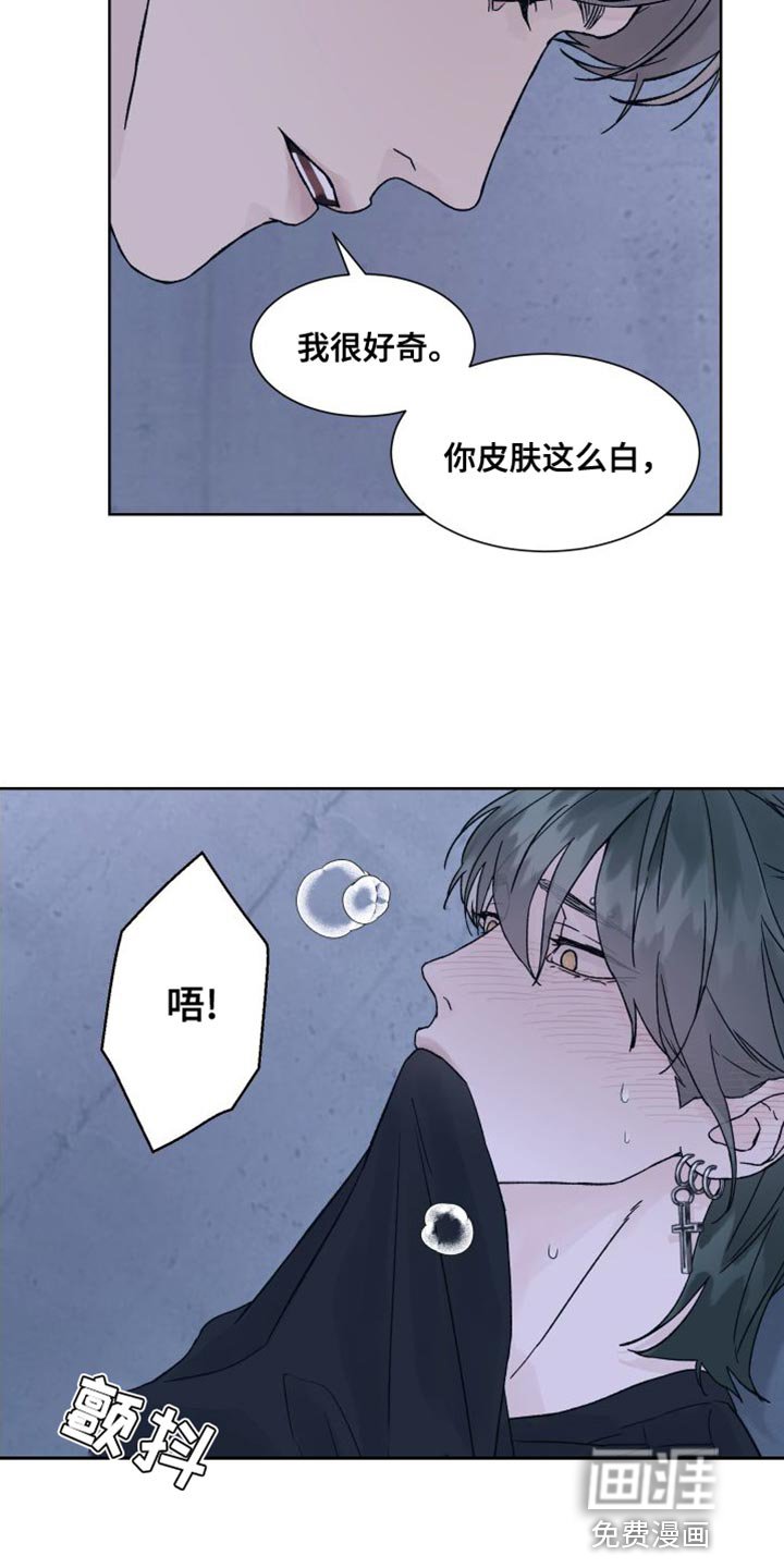 第13章：偏执