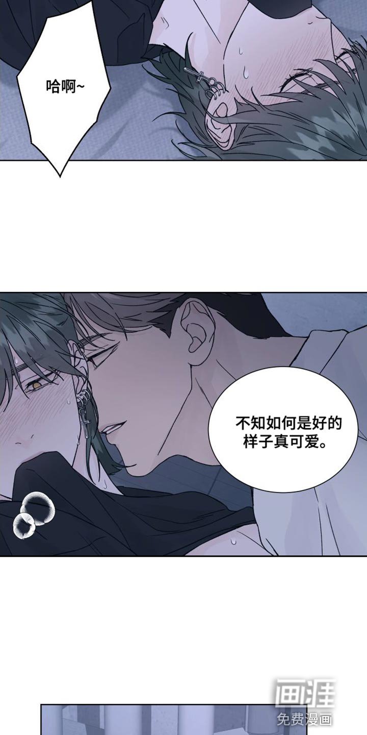 第13章：偏执