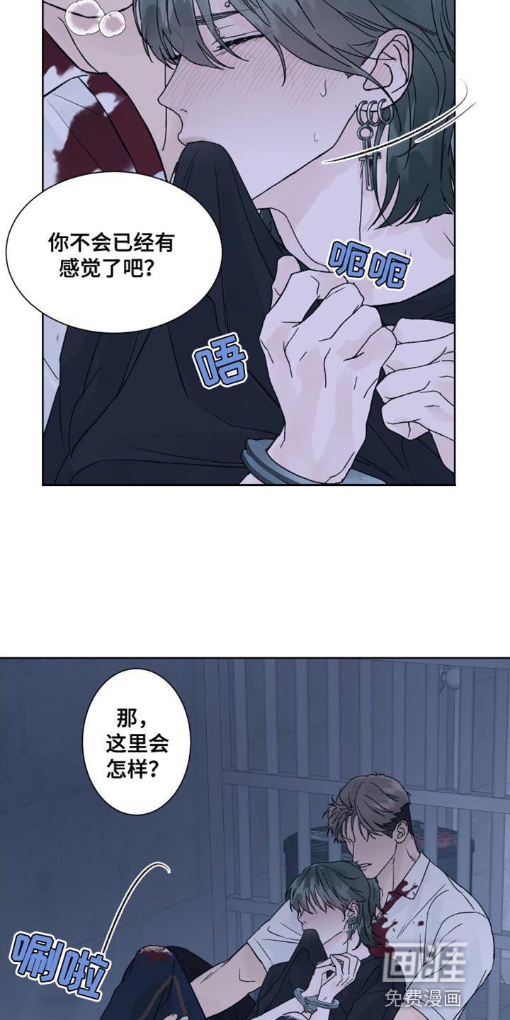 第13章：偏执