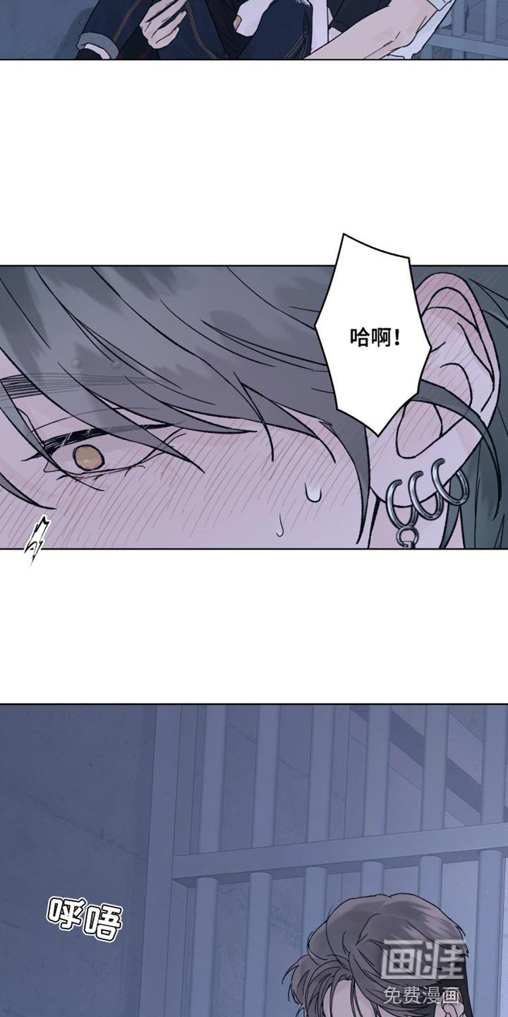 第13章：偏执