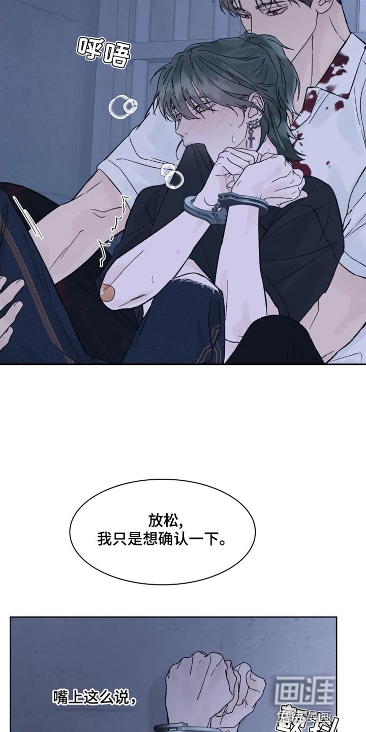 第13章：偏执