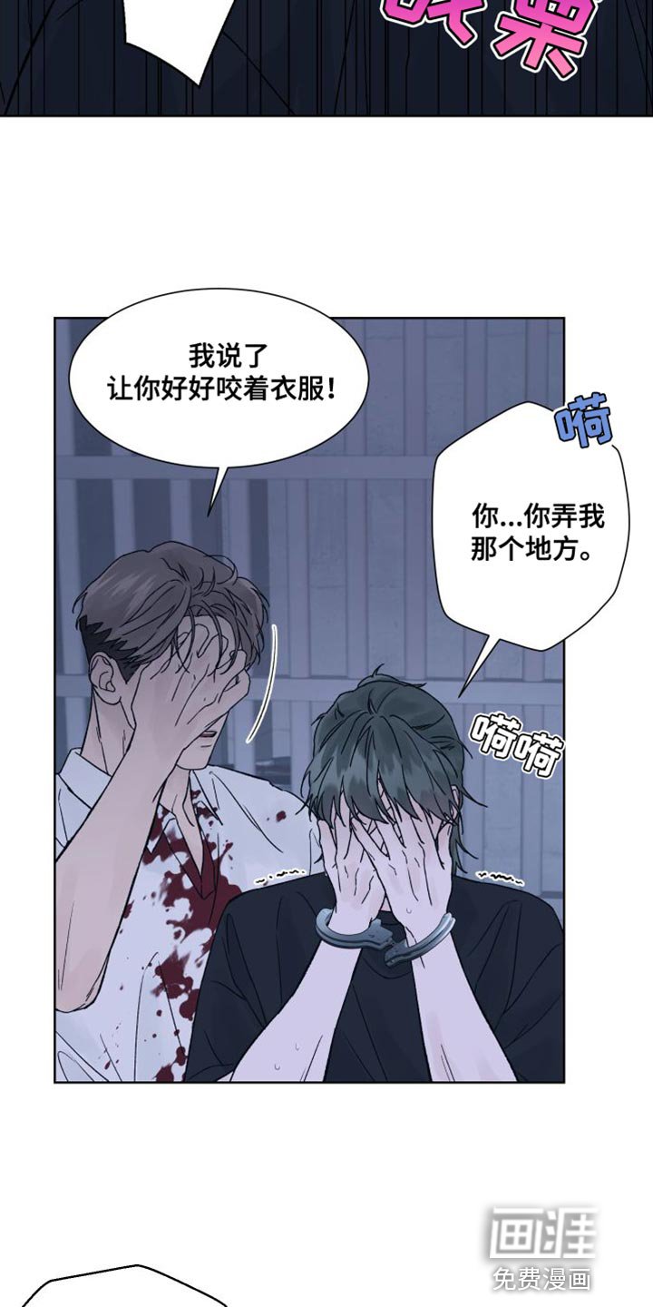 第13章：偏执
