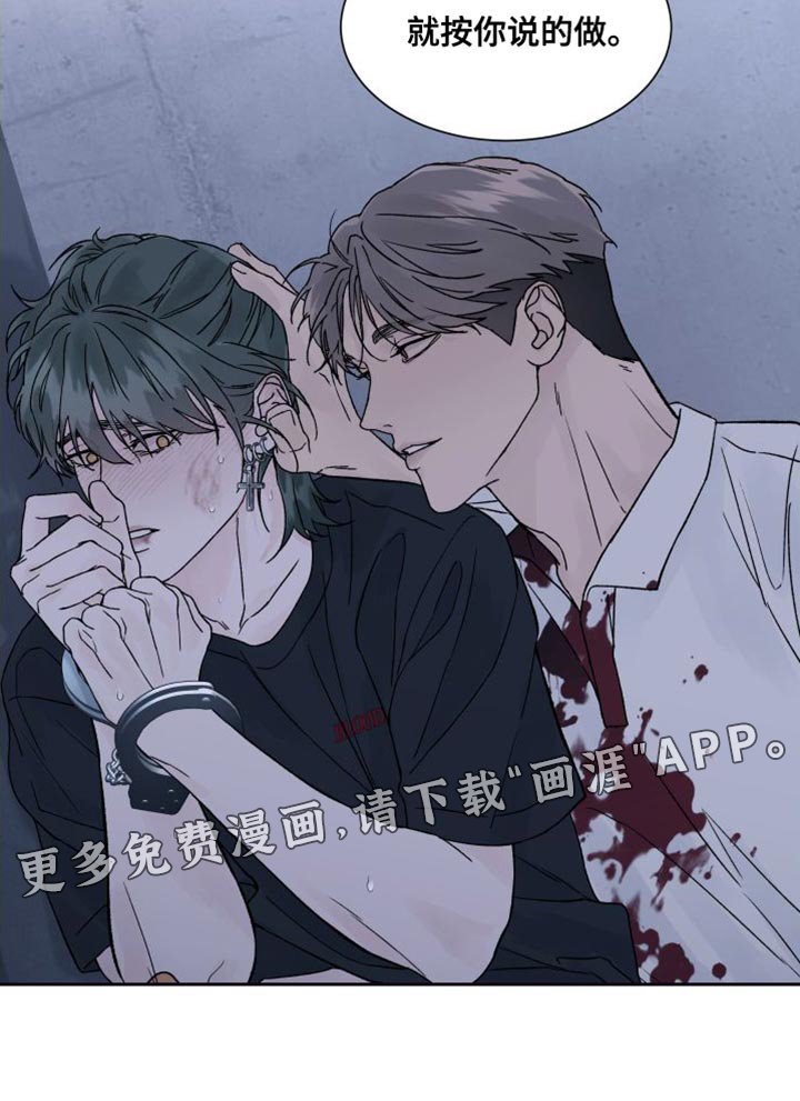 第13章：偏执