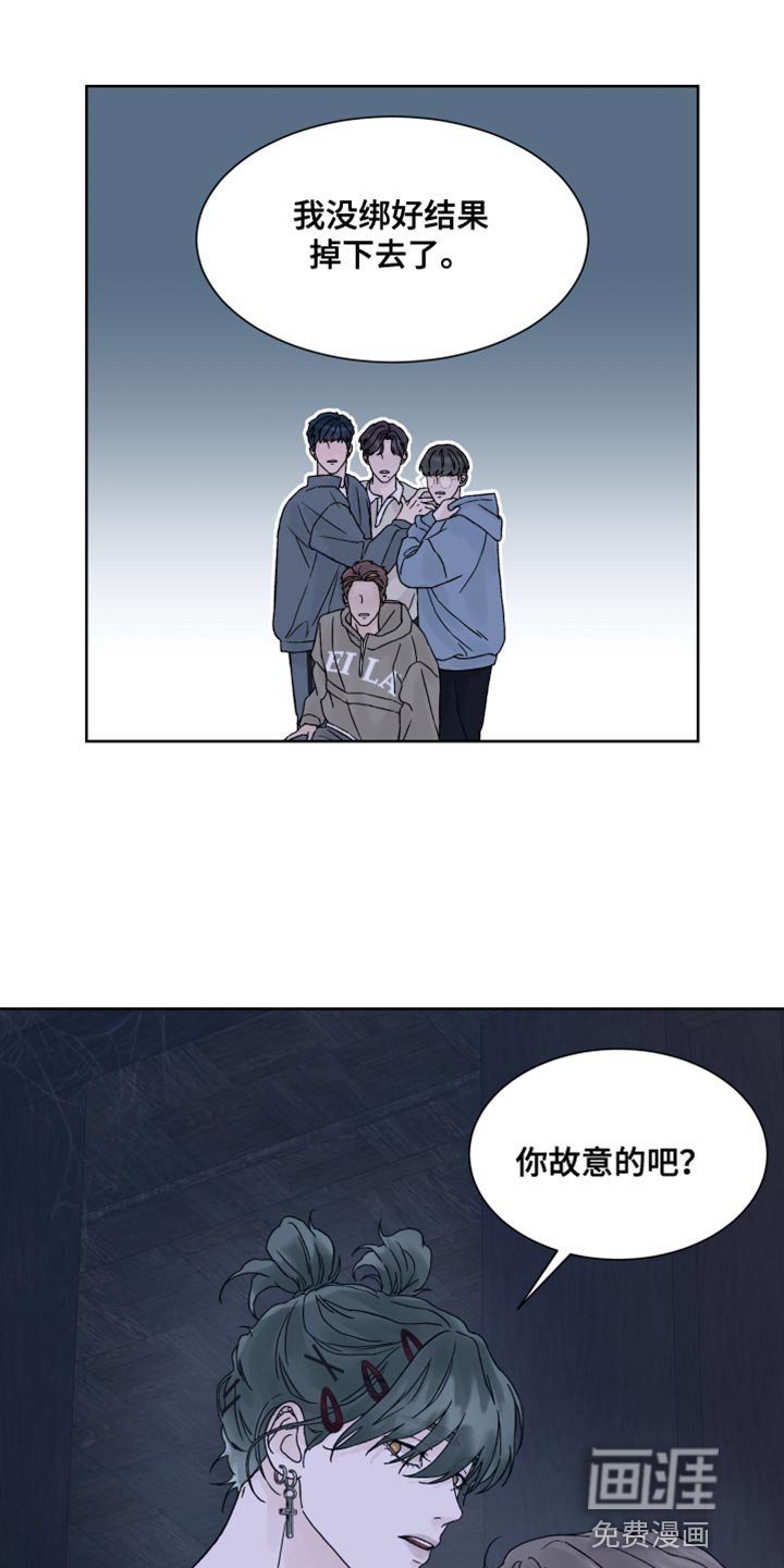 第24章：兔子玩偶