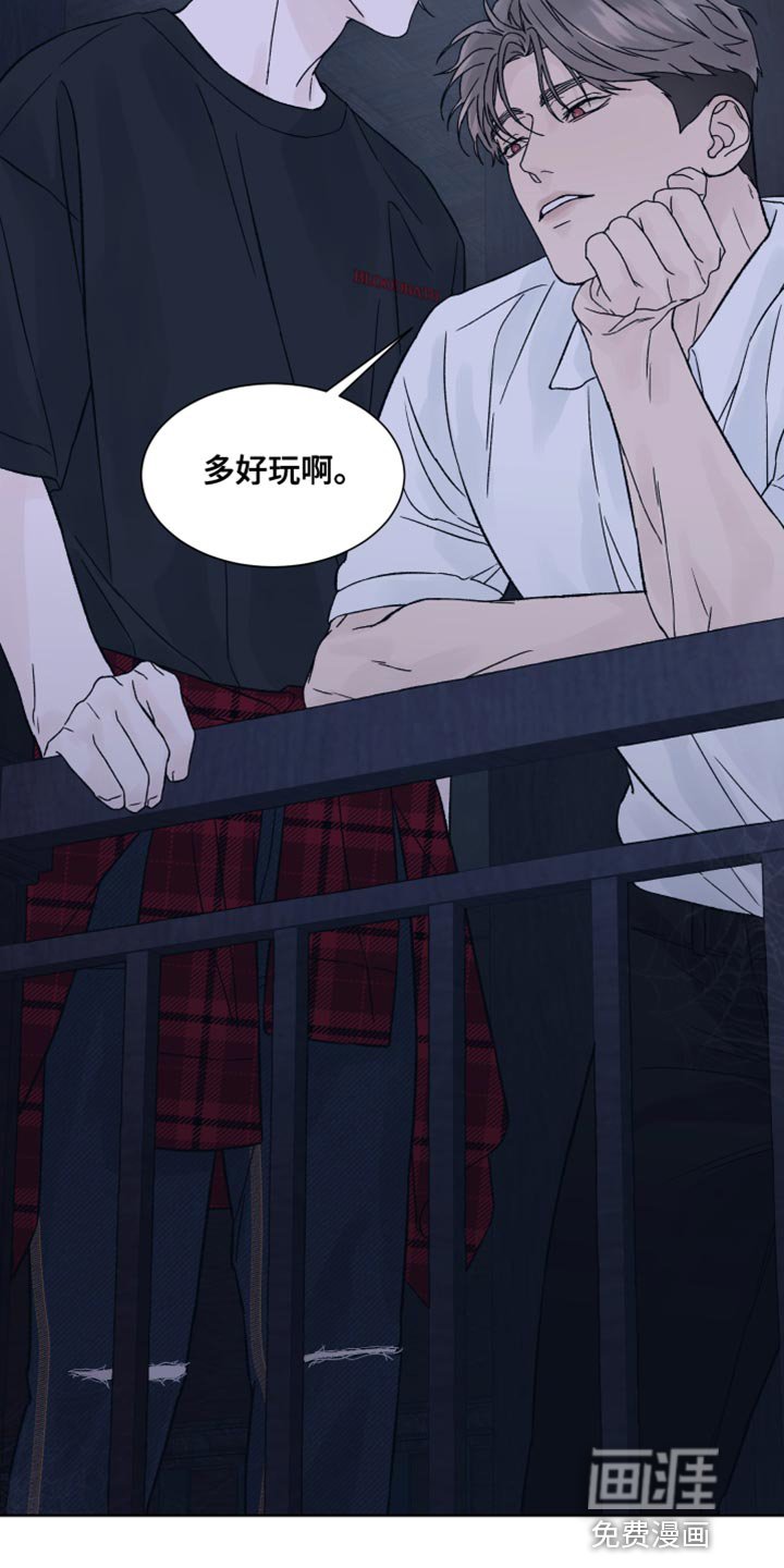 第24章：兔子玩偶