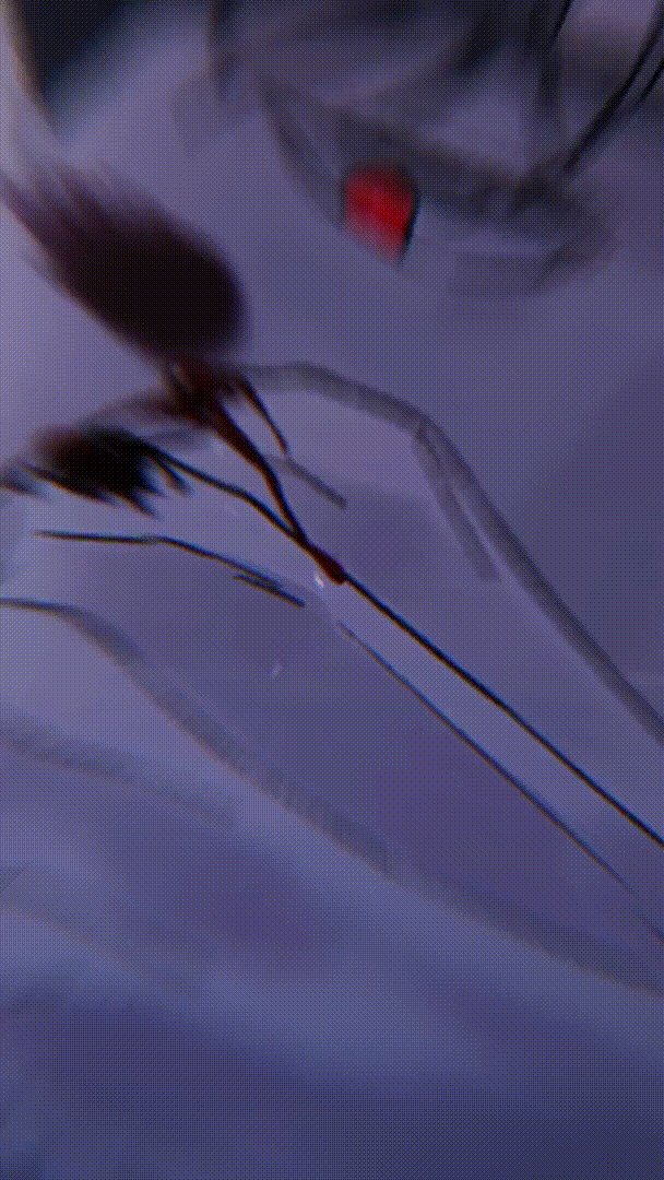 第3章：杀人现场