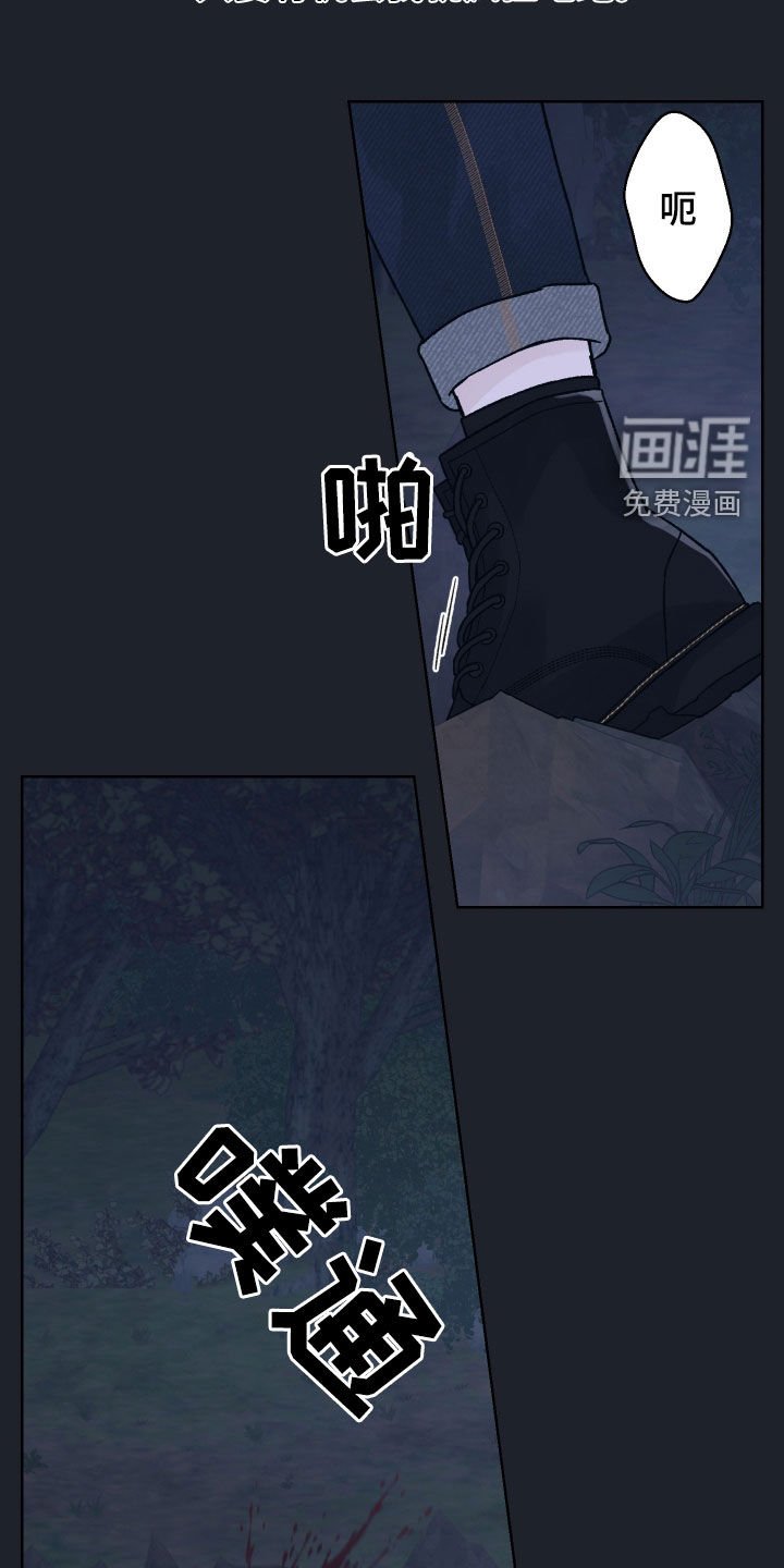 第48章：分歧