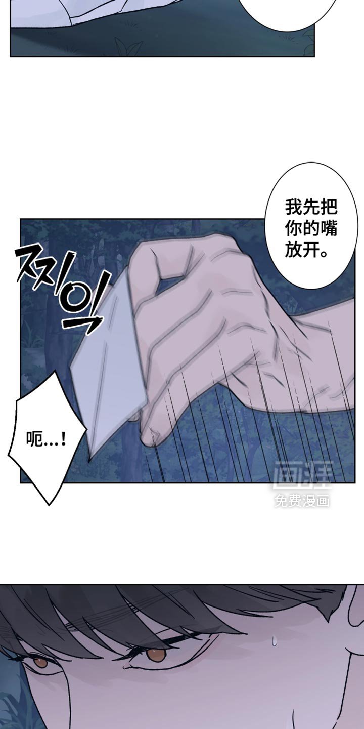 第71章：【第二季】新的录音机