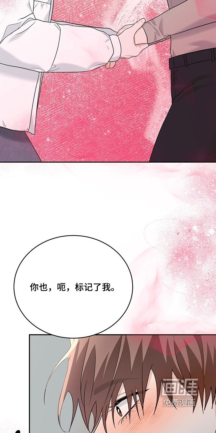 第104章：【番外】你标记我了