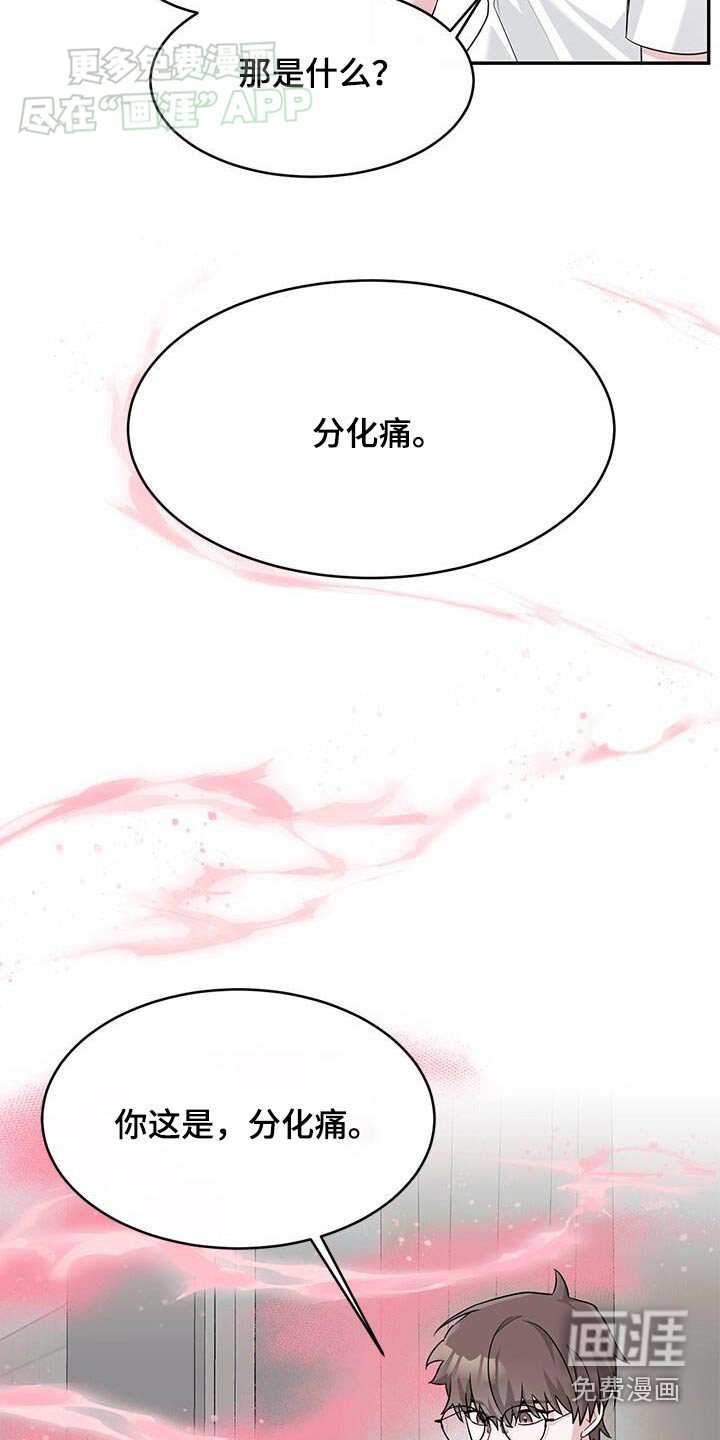 第46章：气味