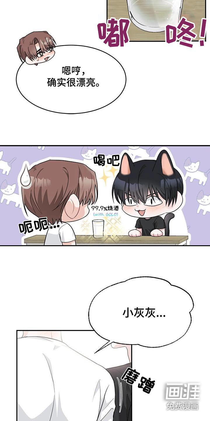 第62章：金粉