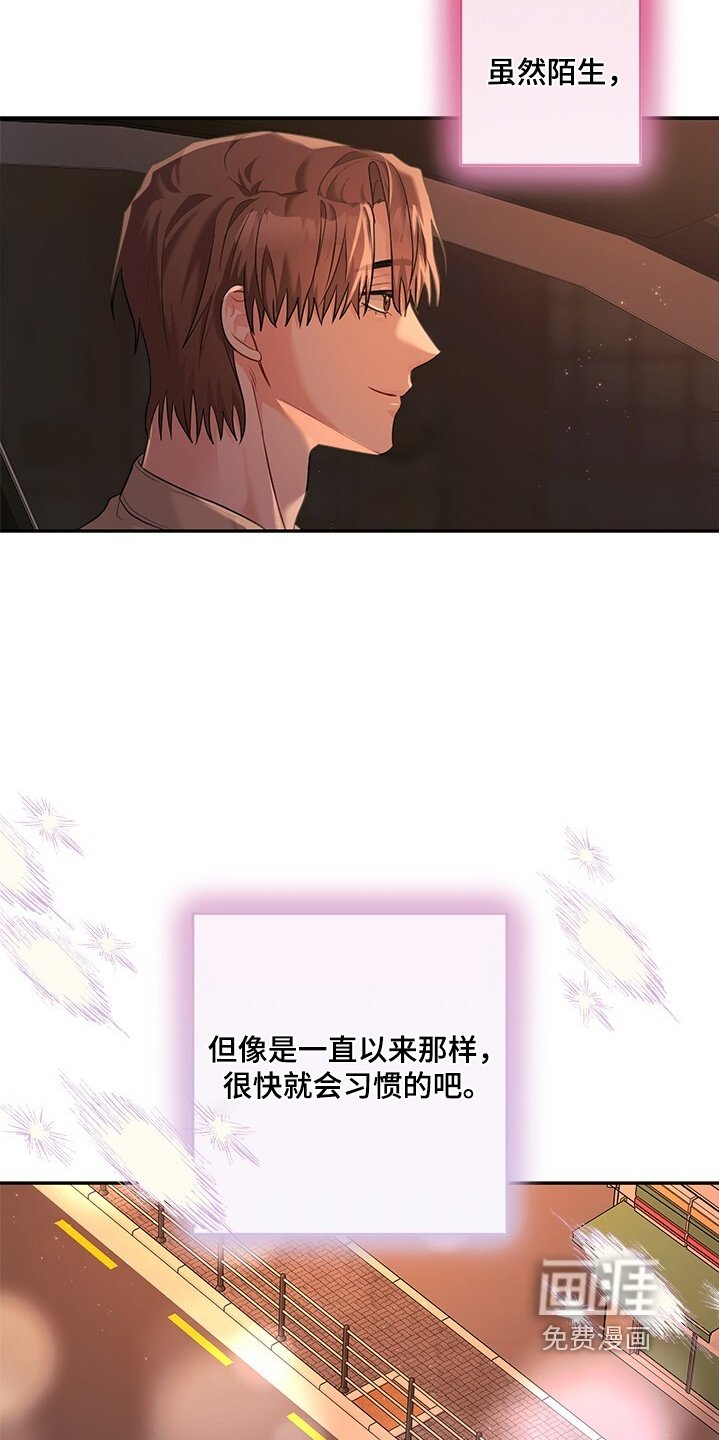 第78章：会习惯吧