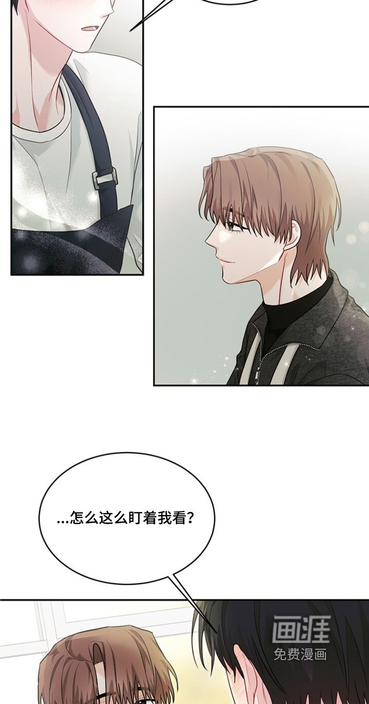 第84章：结为伴侣